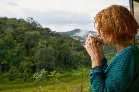 Butelka termiczna Dafi SHAPE PLUS szara termos 480 ml + SZCZOTKA